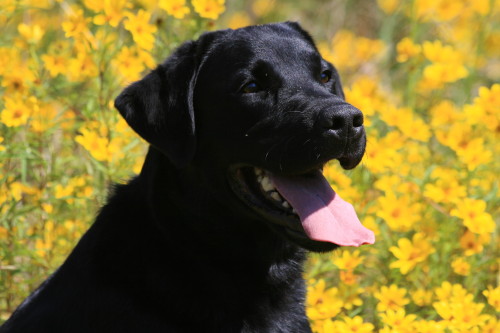 cooper_9.07.08_img_3827_1.jpg