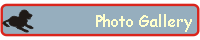 Photo Gallery